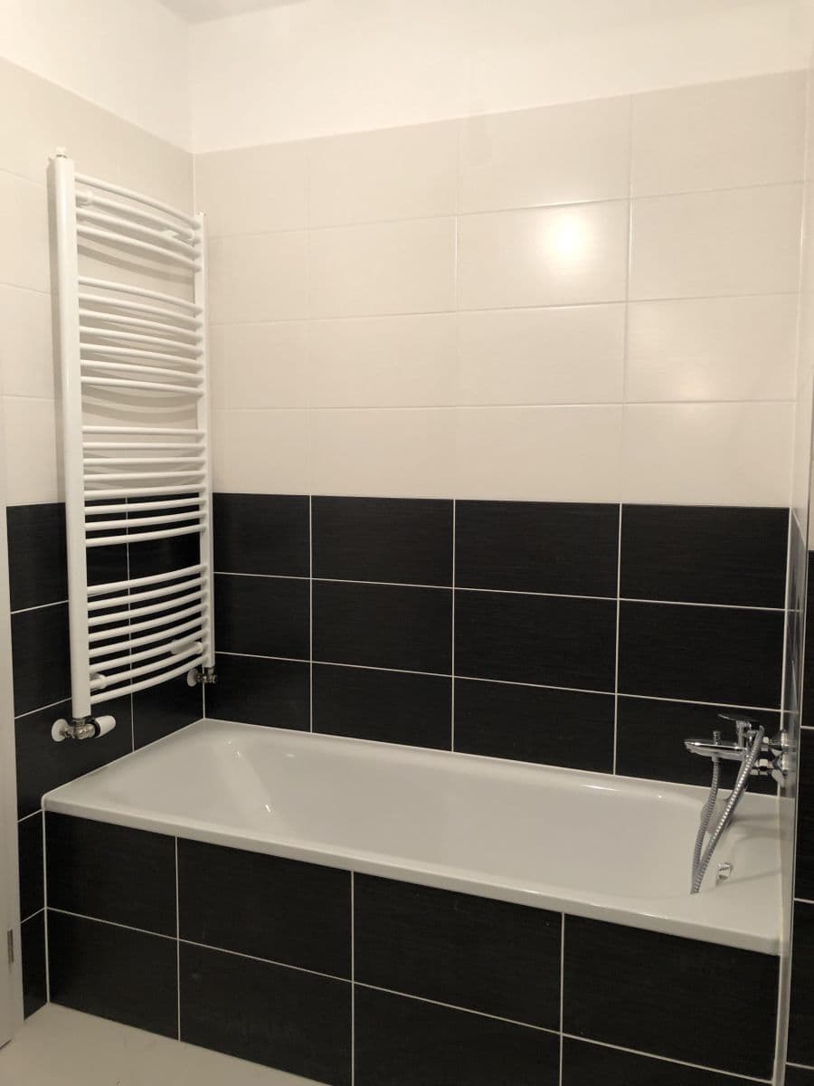 1 bedroom with open-plan kitchen flat to rent, 53 m², Makedonská, Prague, Prague 1 bedroom with open-plan kitchen flat to rent, 53 m², Makedonská, Prague, Prague