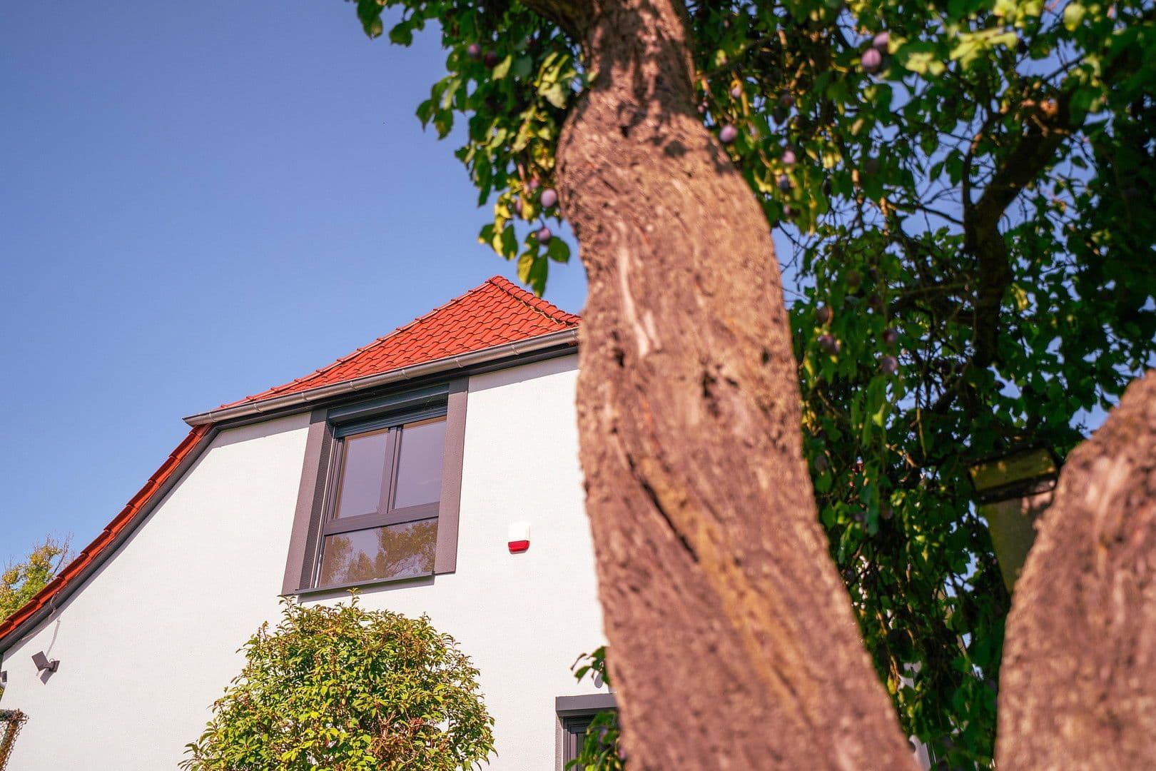 house for sale, 238 m², Zerbst/Anhalt, Saxony-Anhalt house for sale, 238 m², Zerbst/Anhalt, Saxony-Anhalt