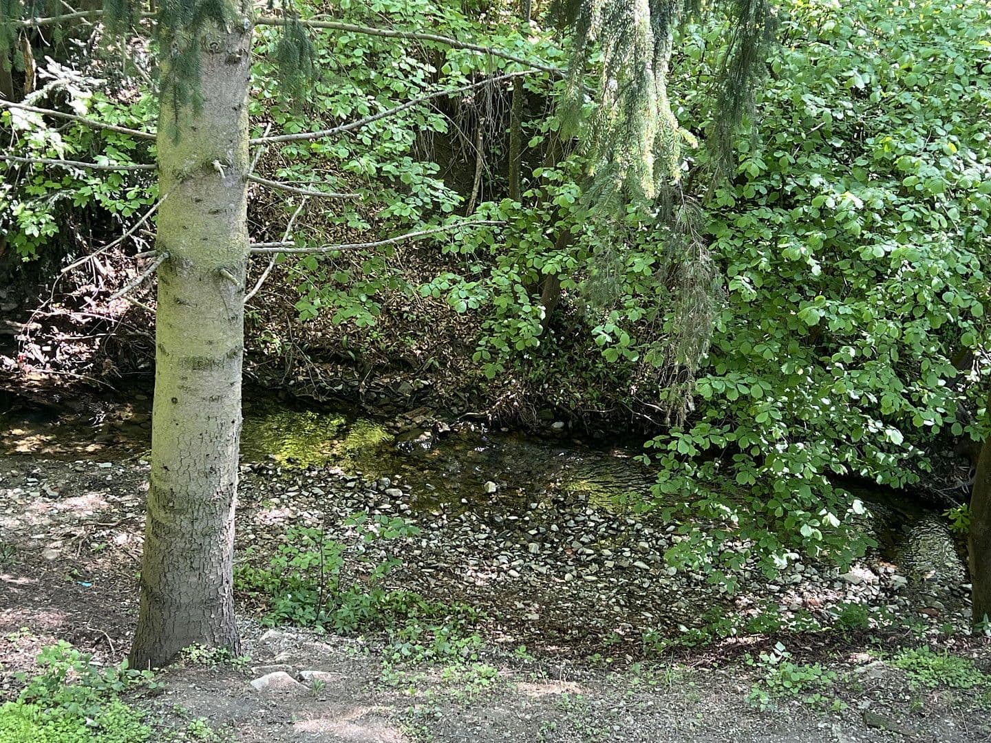 house for sale, 115 m², Mauerbach, Lower Austria house for sale, 115 m², Mauerbach, Lower Austria