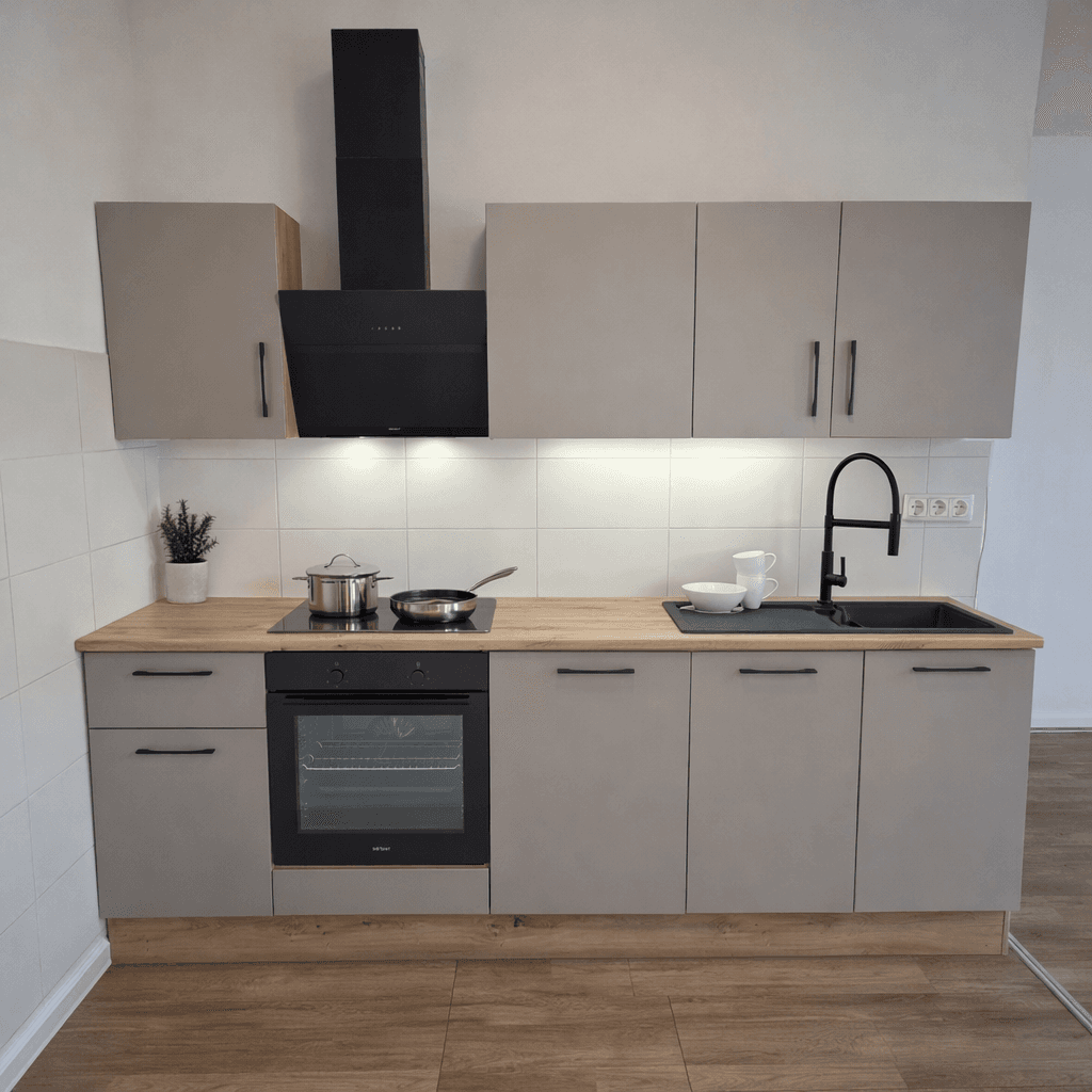 1 bedroom with open-plan kitchen flat to rent, 47 m², Dürerova, Prague, Prague 1 bedroom with open-plan kitchen flat to rent, 47 m², Dürerova, Prague, Prague