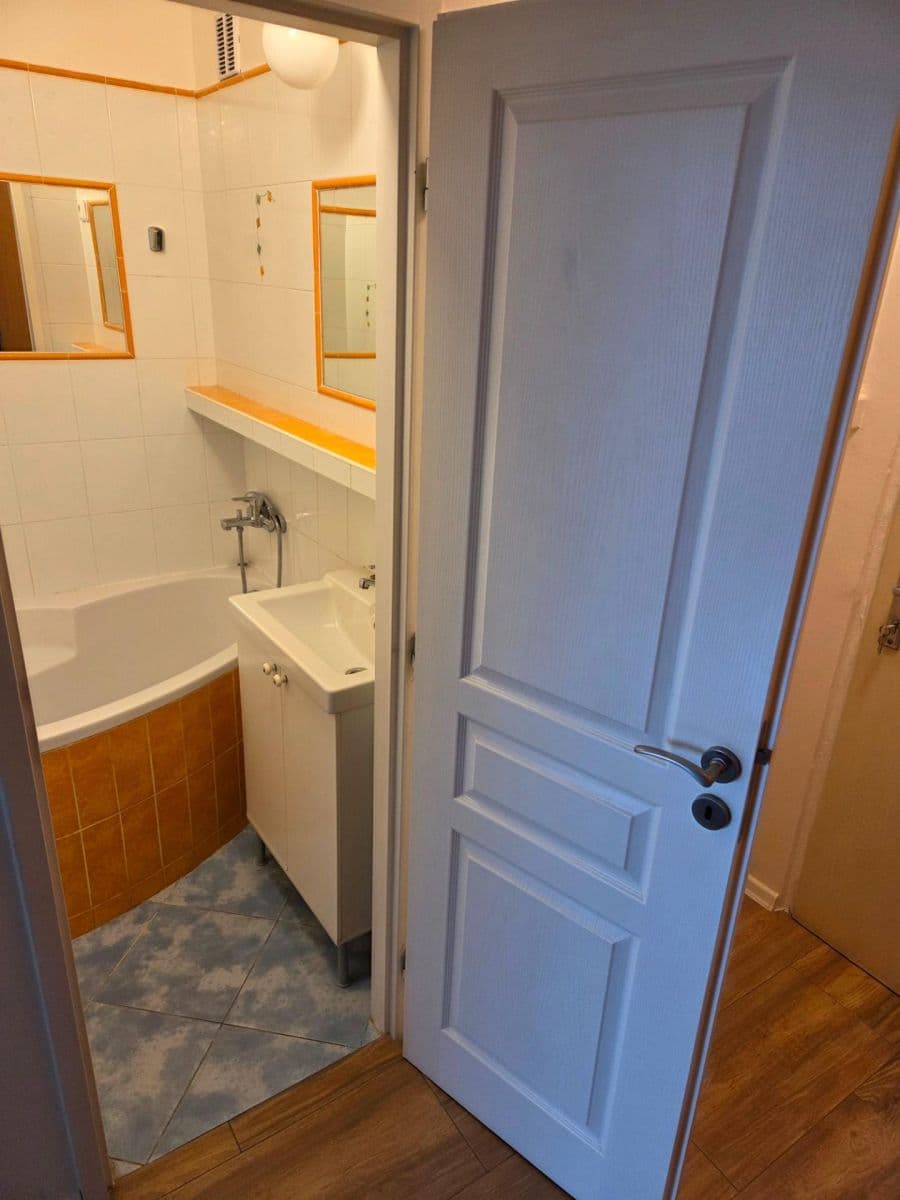 1 bedroom with open-plan kitchen flat to rent, 47 m², Dürerova, Prague, Prague 1 bedroom with open-plan kitchen flat to rent, 47 m², Dürerova, Prague, Prague