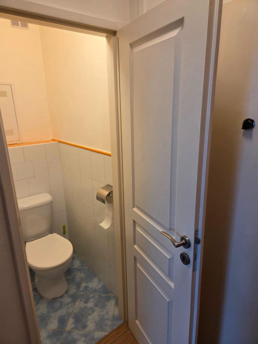 1 bedroom with open-plan kitchen flat to rent, 47 m², Dürerova, Prague, Prague 1 bedroom with open-plan kitchen flat to rent, 47 m², Dürerova, Prague, Prague