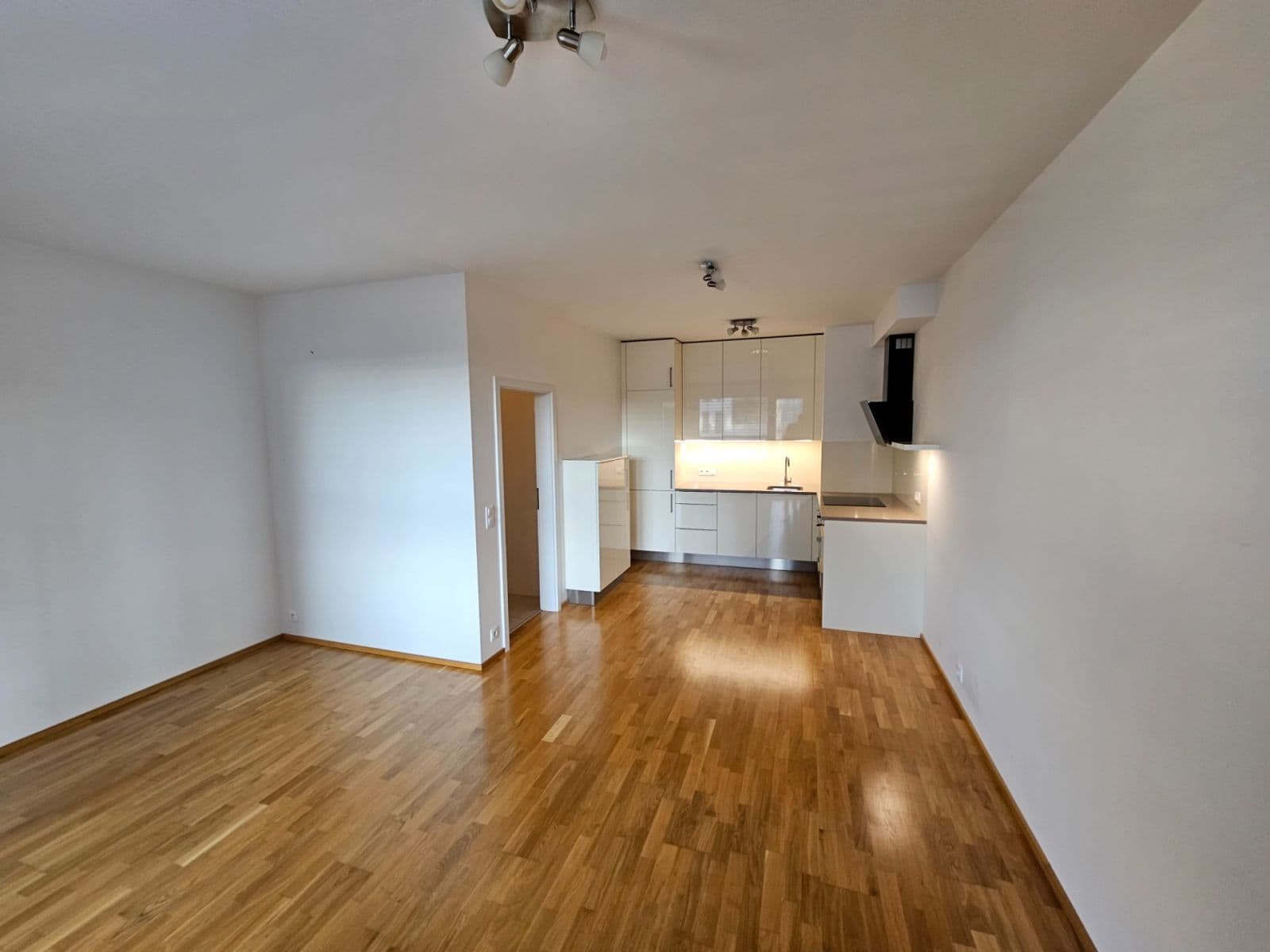 1 bedroom with open-plan kitchen flat to rent, 54 m², Waltariho, Prague, Prague 1 bedroom with open-plan kitchen flat to rent, 54 m², Waltariho, Prague, Prague
