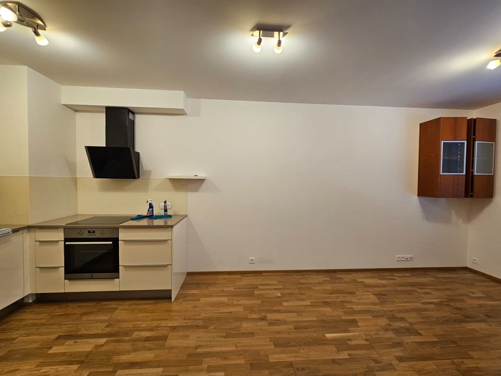 1 bedroom with open-plan kitchen flat to rent, 54 m², Waltariho, Prague, Prague 1 bedroom with open-plan kitchen flat to rent, 54 m², Waltariho, Prague, Prague