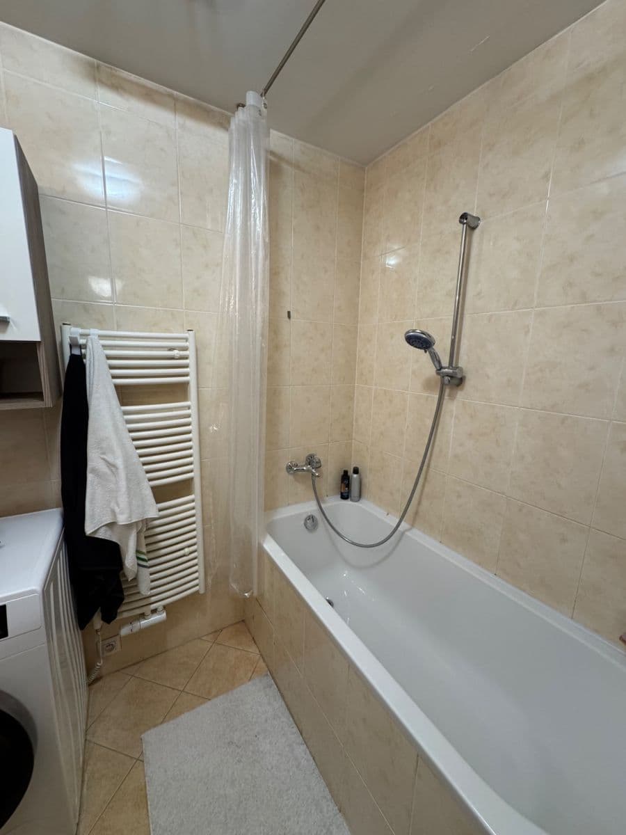 1 bedroom with open-plan kitchen flat to rent, 50 m², Musílkova, Prague, Prague 1 bedroom with open-plan kitchen flat to rent, 50 m², Musílkova, Prague, Prague