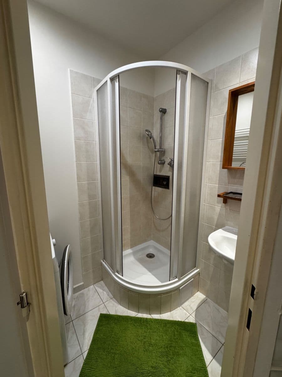 1 bedroom with open-plan kitchen flat to rent, 51 m², Na Břehu, Prague, Prague 1 bedroom with open-plan kitchen flat to rent, 51 m², Na Břehu, Prague, Prague