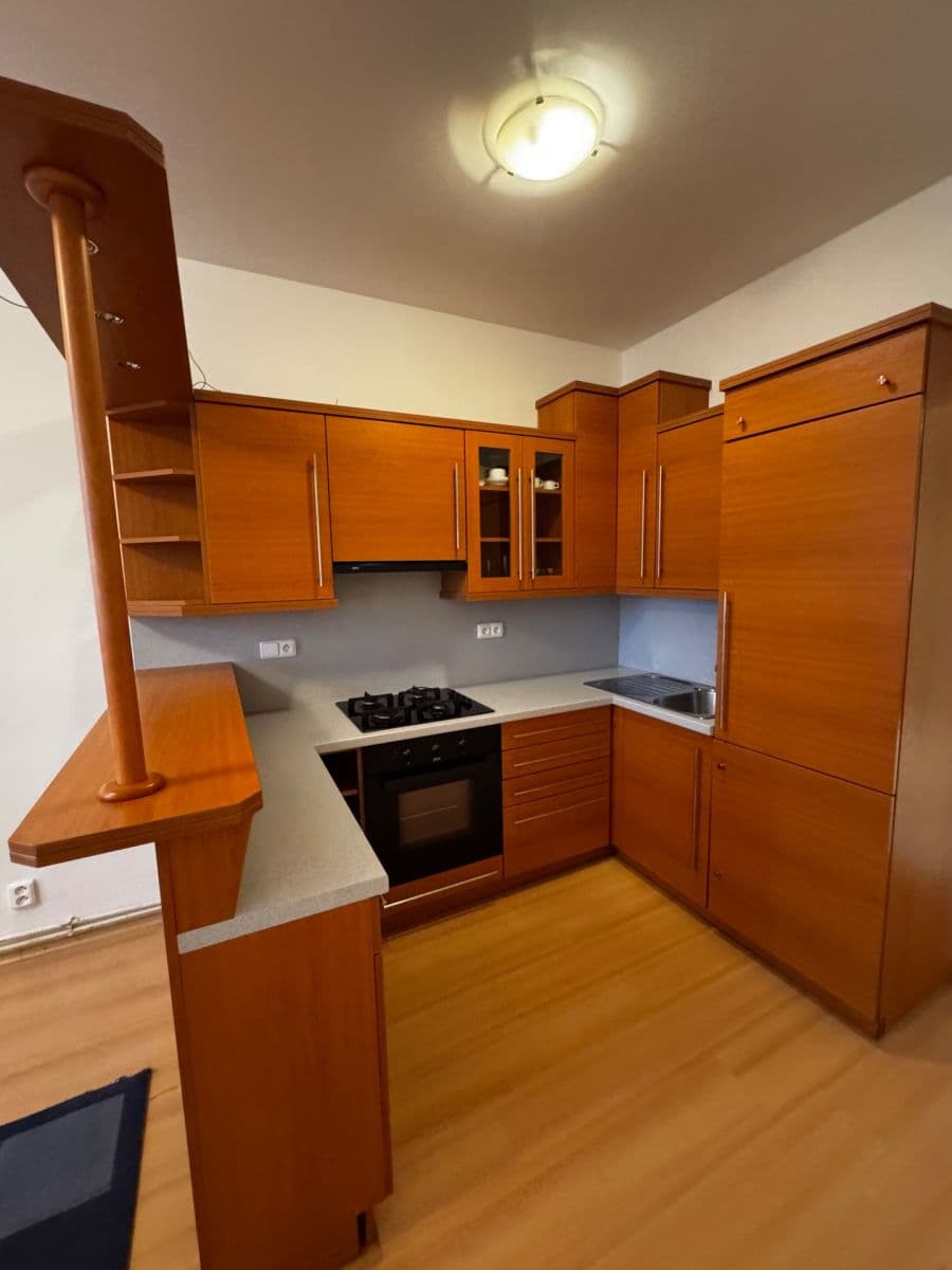 1 bedroom with open-plan kitchen flat to rent, 51 m², Na Břehu, Prague, Prague 1 bedroom with open-plan kitchen flat to rent, 51 m², Na Břehu, Prague, Prague