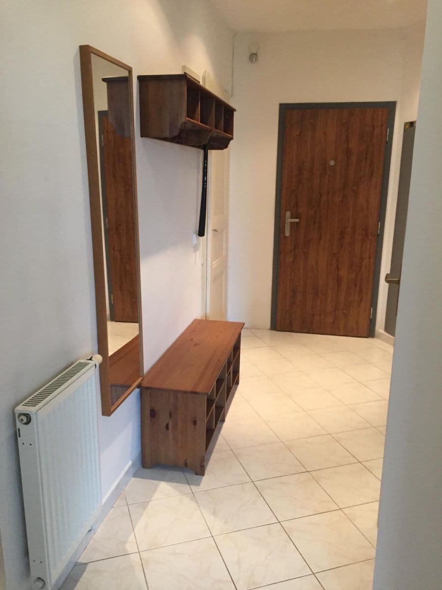 1 bedroom with open-plan kitchen flat to rent, 51 m², Na Břehu, Prague, Prague 1 bedroom with open-plan kitchen flat to rent, 51 m², Na Břehu, Prague, Prague