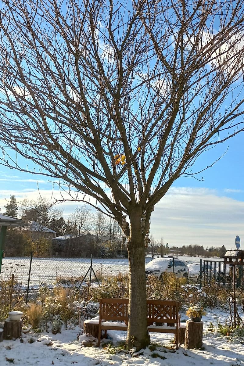 2 bedroom with open-plan kitchen flat for sale, 69 m², Trojmezní, Šestajovice, Středočeský Region 2 bedroom with open-plan kitchen flat for sale, 69 m², Trojmezní, Šestajovice, Středočeský Region