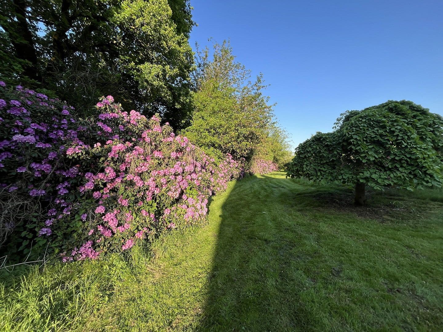 house for sale, 198 m², Dahldorfer Str. 19, Gnarrenburg, Lower Saxony house for sale, 198 m², Dahldorfer Str. 19, Gnarrenburg, Lower Saxony