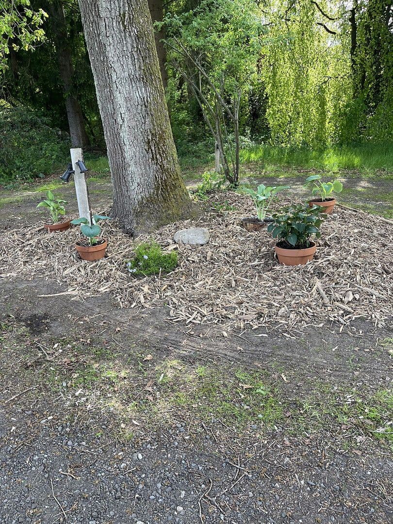 house for sale, 198 m², Dahldorfer Str. 19, Gnarrenburg, Lower Saxony house for sale, 198 m², Dahldorfer Str. 19, Gnarrenburg, Lower Saxony