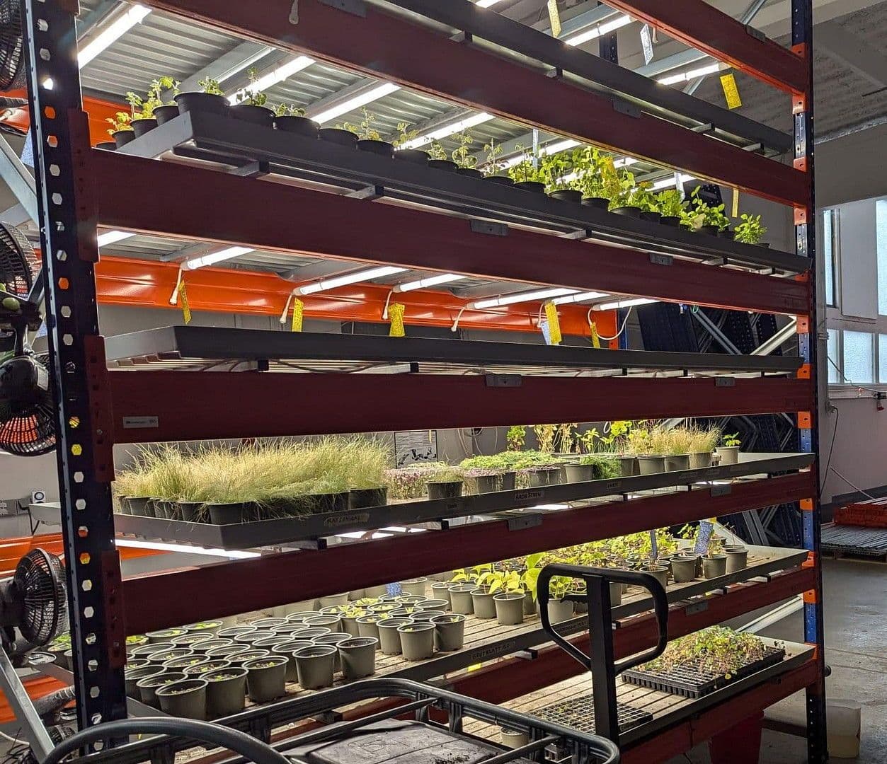 non-residential property to rent, 473 m², Wesseling, North Rhine-Westphalia non-residential property to rent, 473 m², Wesseling, North Rhine-Westphalia