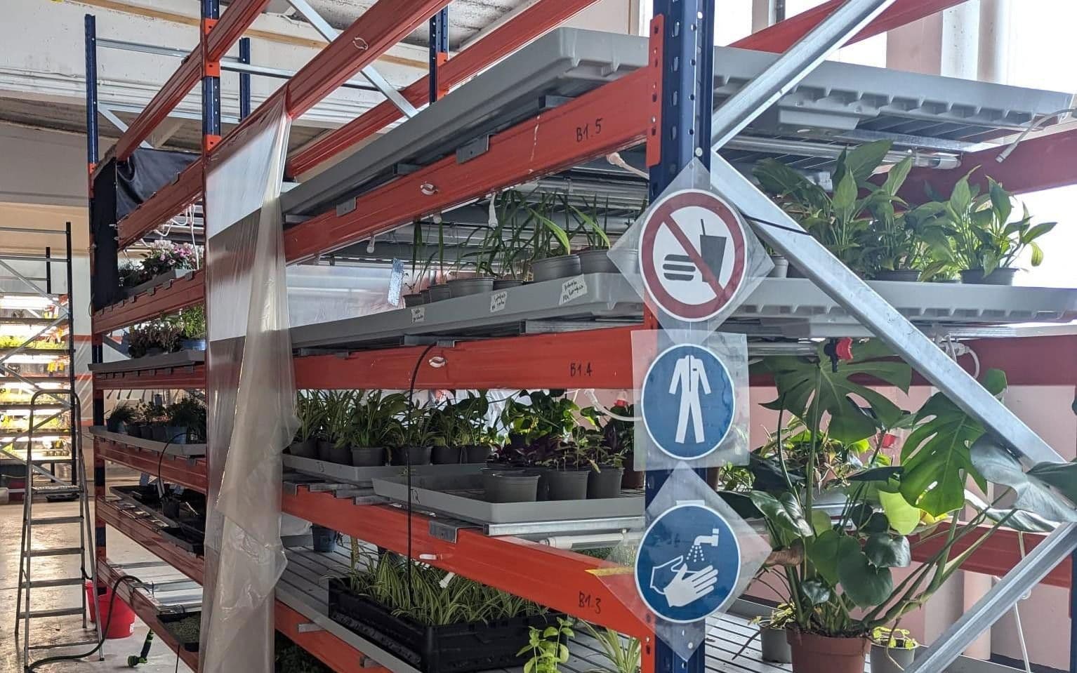 non-residential property to rent, 473 m², Wesseling, North Rhine-Westphalia non-residential property to rent, 473 m², Wesseling, North Rhine-Westphalia