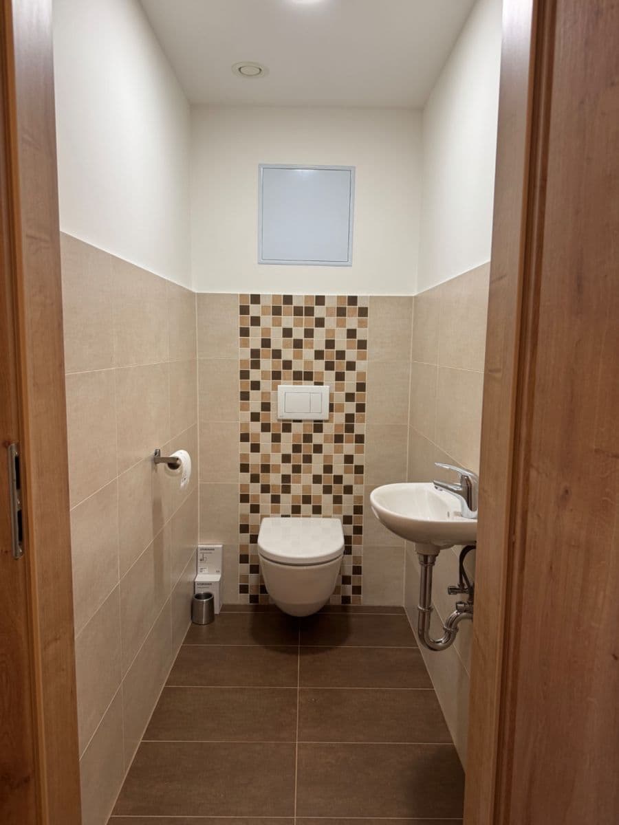 1 bedroom with open-plan kitchen flat to rent, 53 m², Františka Diviše, Prague, Prague 1 bedroom with open-plan kitchen flat to rent, 53 m², Františka Diviše, Prague, Prague