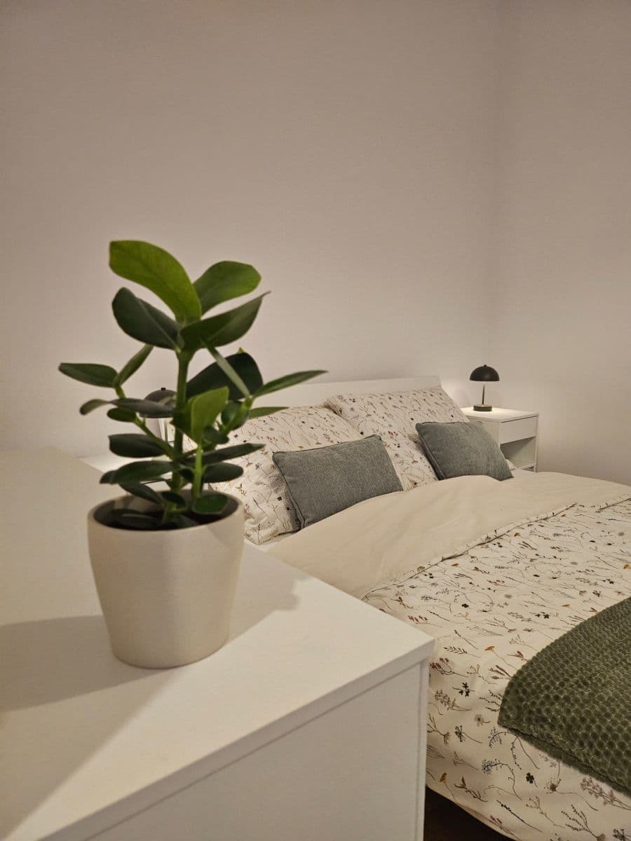 Studio flat to rent, 35 m², Petrská, Prague, Prague Studio flat to rent, 35 m², Petrská, Prague, Prague