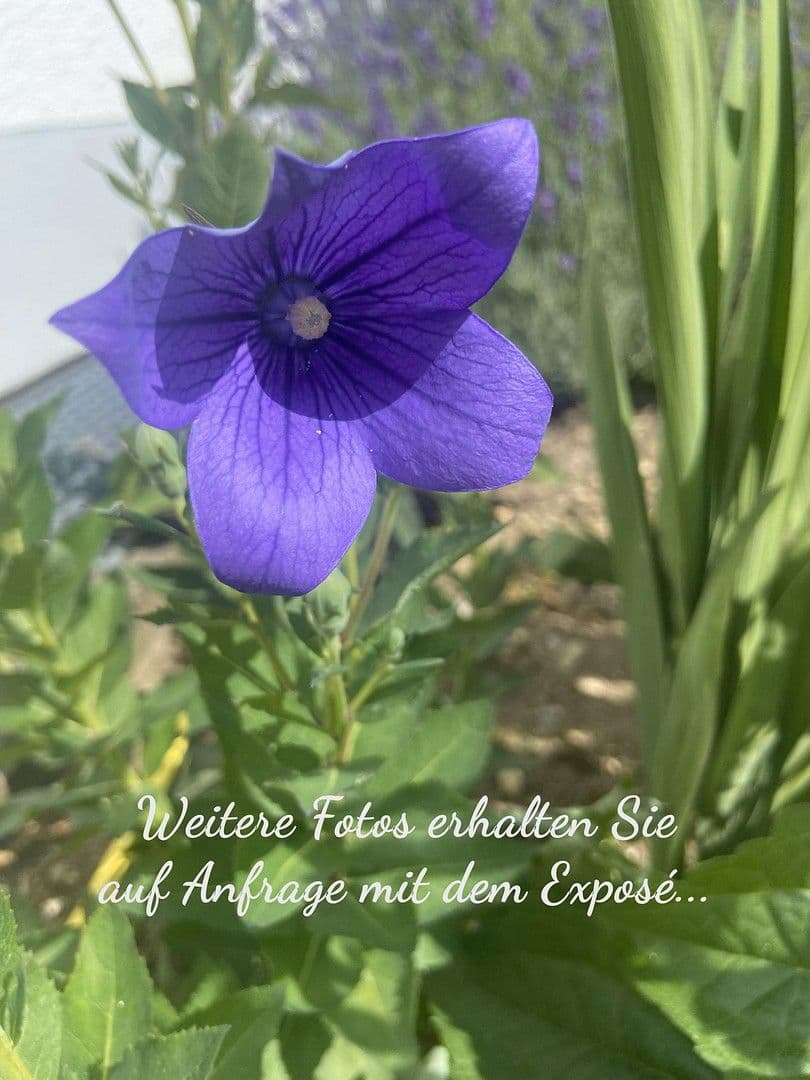 3 bedroom flat for sale, 88 m², Augsburg, Bavaria 3 bedroom flat for sale, 88 m², Augsburg, Bavaria