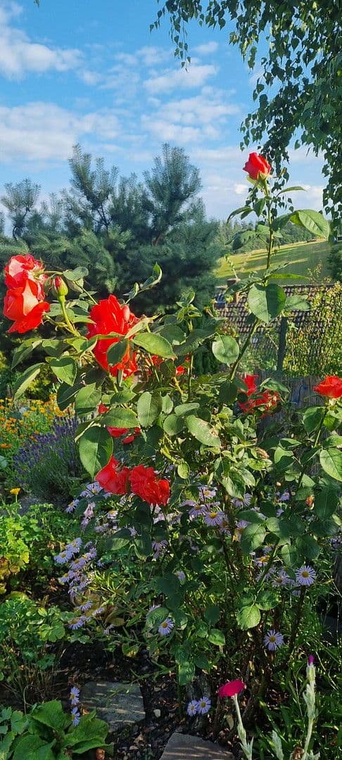 house for sale, 129 m², Helsa, Hesse house for sale, 129 m², Helsa, Hesse