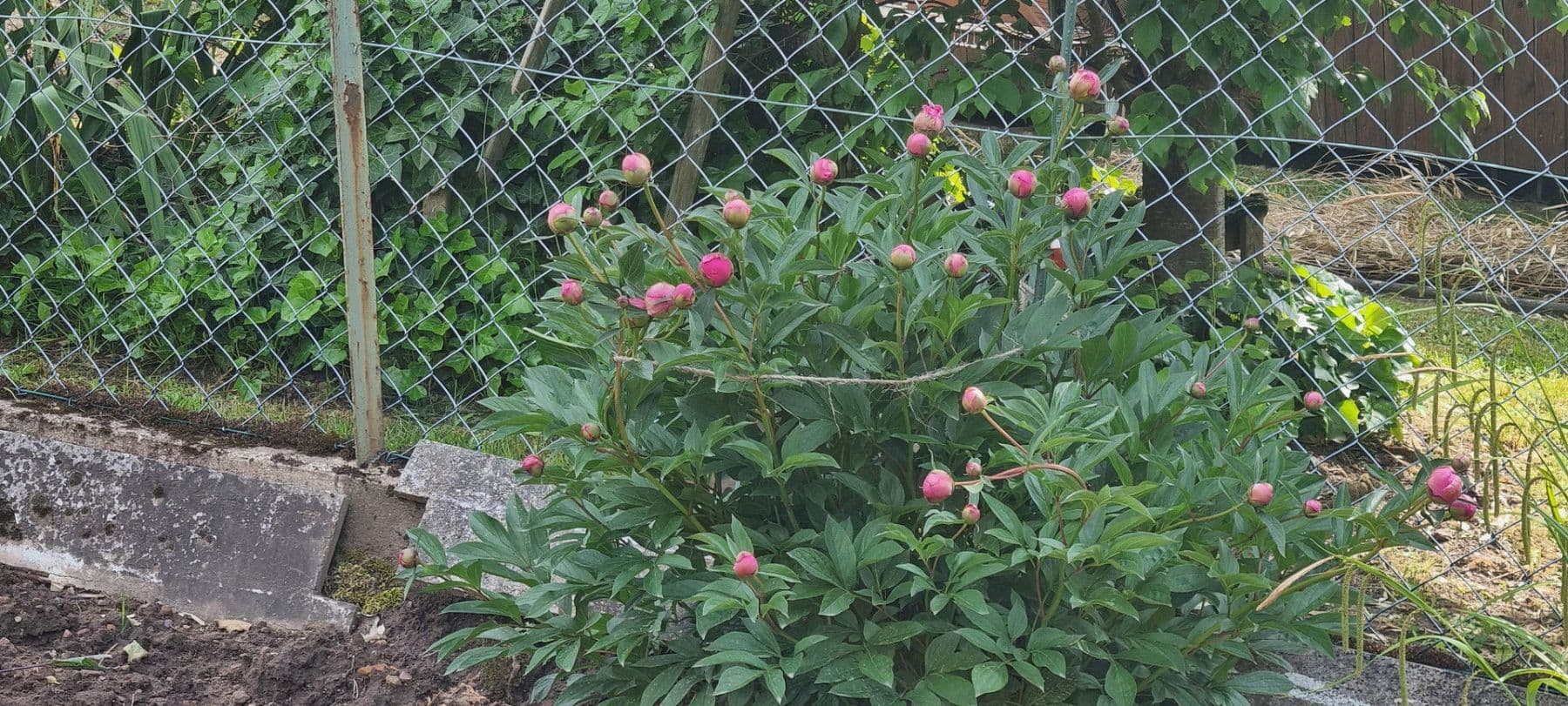 house for sale, 129 m², Helsa, Hesse house for sale, 129 m², Helsa, Hesse