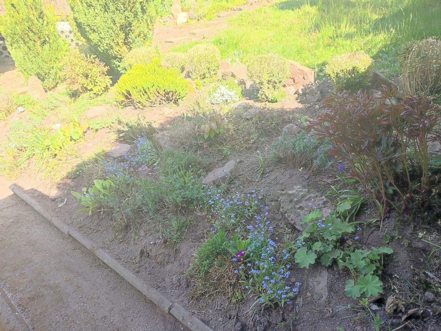 house for sale, 129 m², Helsa, Hesse house for sale, 129 m², Helsa, Hesse