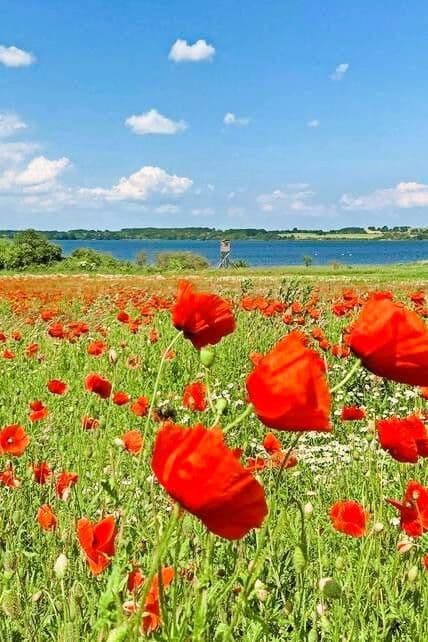 house for sale, 140 m², Dassow, Mecklenburg-Vorpommern house for sale, 140 m², Dassow, Mecklenburg-Vorpommern