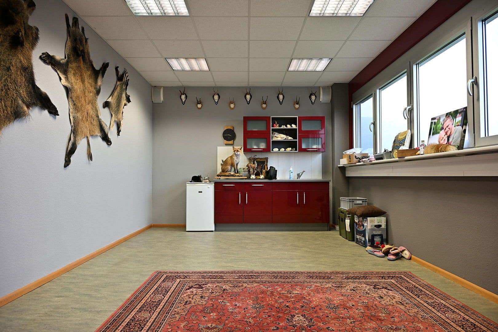 non-residential property for sale, 5,000 m², Bad Säckingen, Baden-Württemberg non-residential property for sale, 5,000 m², Bad Säckingen, Baden-Württemberg