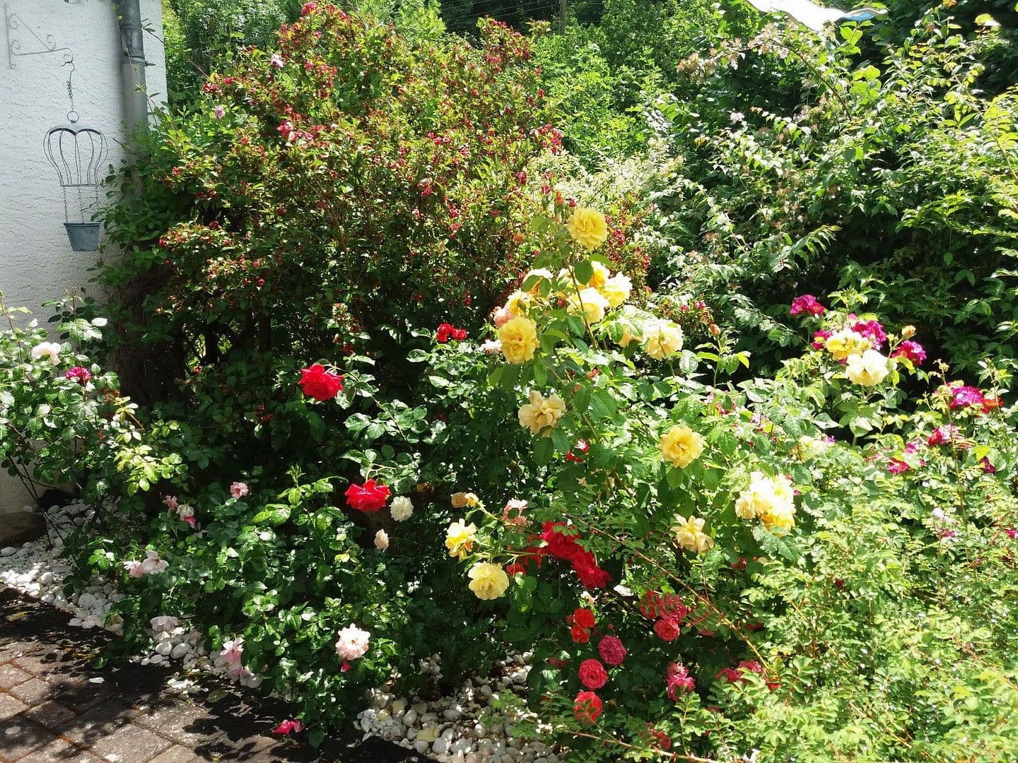 house for sale, 188 m², Densborn, Rhineland-Palatinate house for sale, 188 m², Densborn, Rhineland-Palatinate