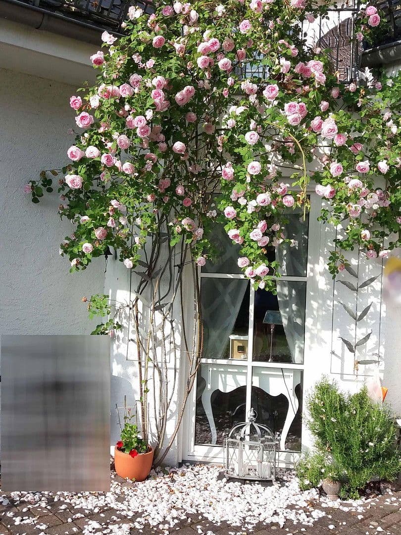 house for sale, 188 m², Densborn, Rhineland-Palatinate house for sale, 188 m², Densborn, Rhineland-Palatinate