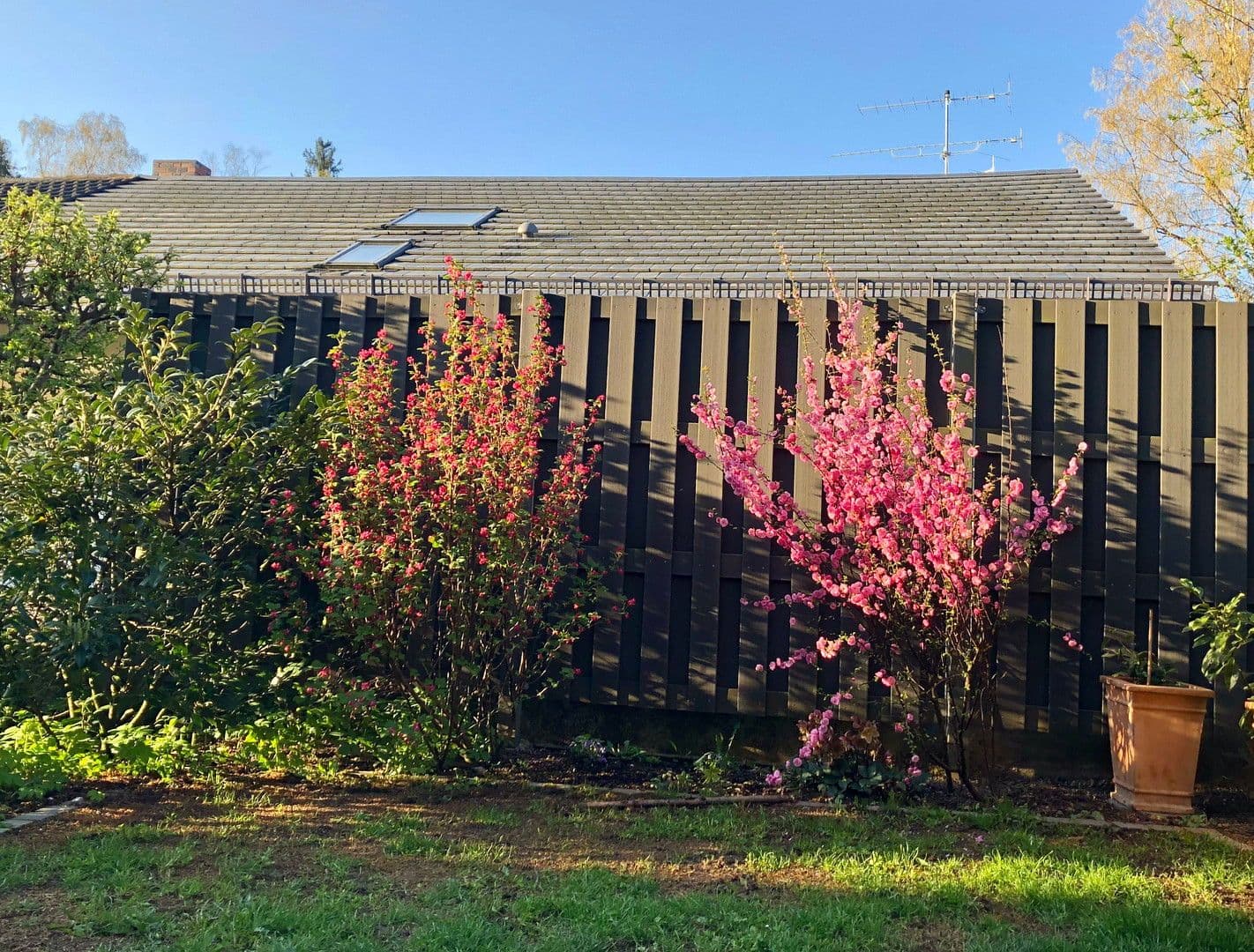 house to rent, 171 m², Baldham, Bavaria house to rent, 171 m², Baldham, Bavaria