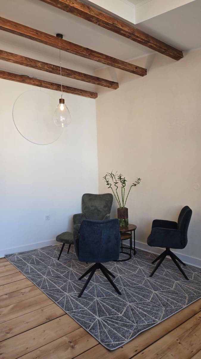 1 bedroom flat to rent, 38 m², Janáčkovo nábřeží, Prague, Prague 1 bedroom flat to rent, 38 m², Janáčkovo nábřeží, Prague, Prague