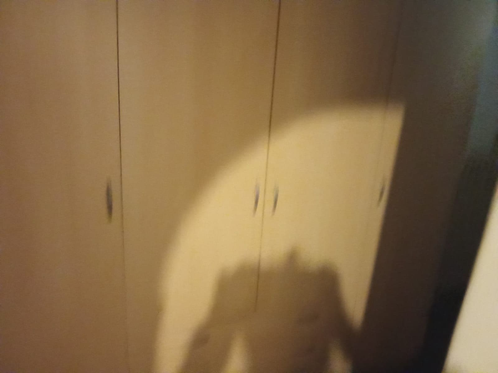 1 bedroom with open-plan kitchen flat to rent, 67 m², Heřmanova, Prague, Prague 1 bedroom with open-plan kitchen flat to rent, 67 m², Heřmanova, Prague, Prague