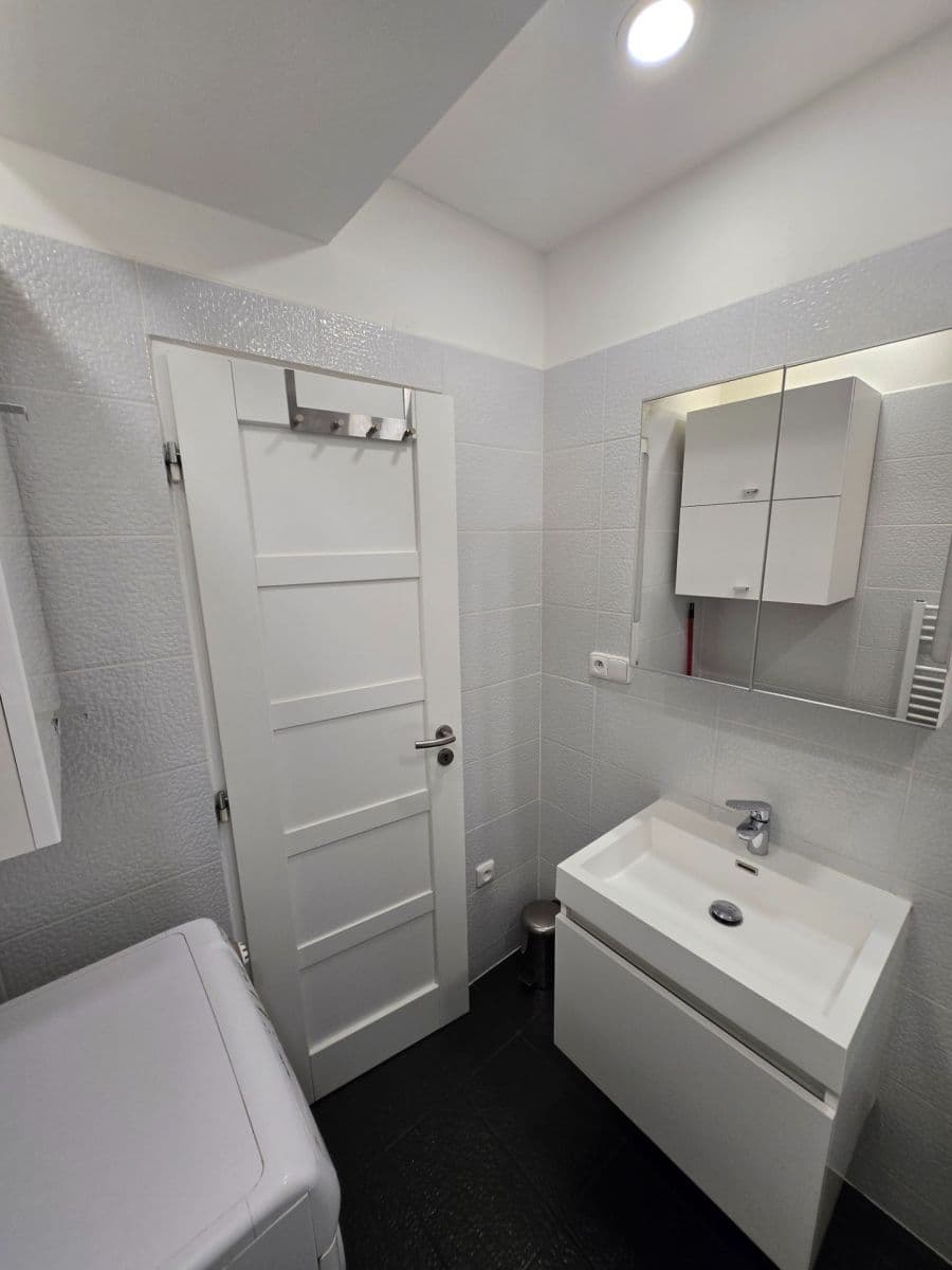 1 bedroom with open-plan kitchen flat to rent, 56 m², V Újezdech, Brno, Jihomoravský Region 1 bedroom with open-plan kitchen flat to rent, 56 m², V Újezdech, Brno, Jihomoravský Region