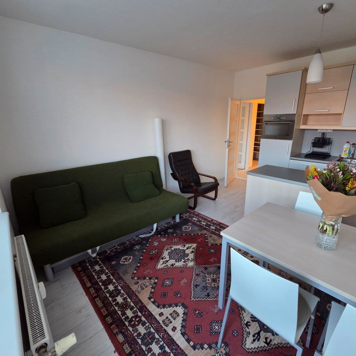 1 bedroom with open-plan kitchen flat to rent, 56 m², V Újezdech, Brno, Jihomoravský Region 1 bedroom with open-plan kitchen flat to rent, 56 m², V Újezdech, Brno, Jihomoravský Region