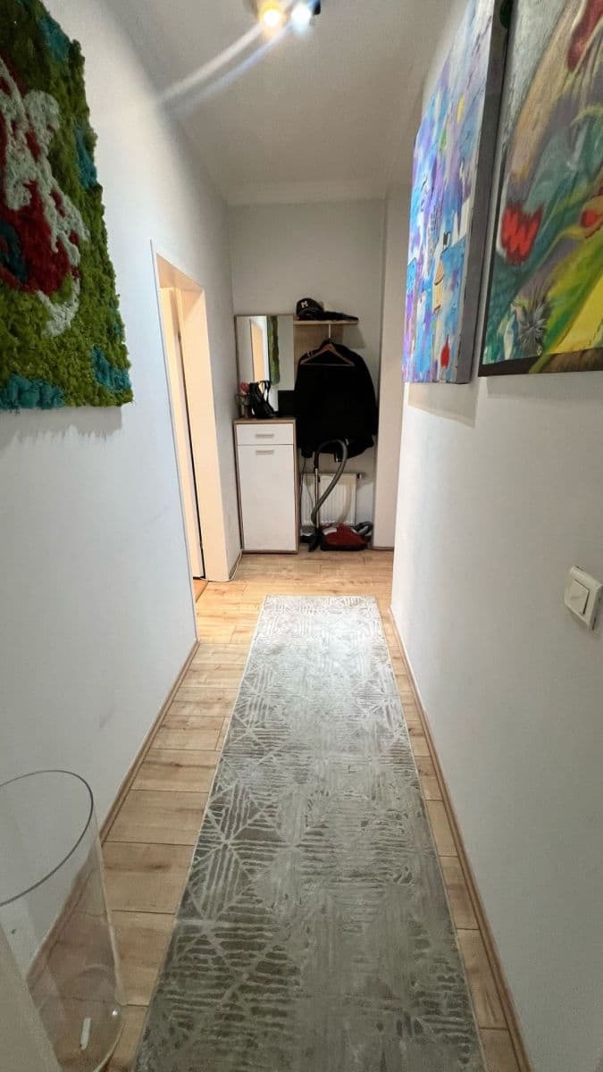 1 bedroom with open-plan kitchen flat to rent, 50 m², Rejskova, Prague, Prague 1 bedroom with open-plan kitchen flat to rent, 50 m², Rejskova, Prague, Prague