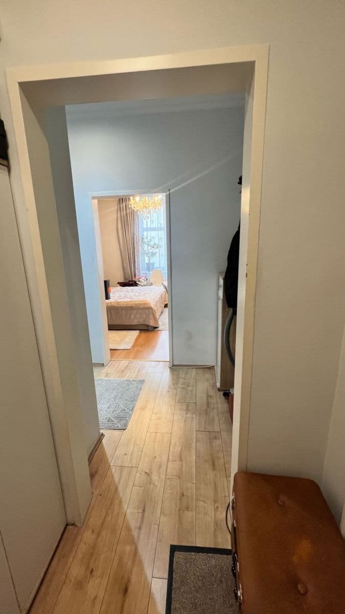 1 bedroom with open-plan kitchen flat to rent, 50 m², Rejskova, Prague, Prague 1 bedroom with open-plan kitchen flat to rent, 50 m², Rejskova, Prague, Prague