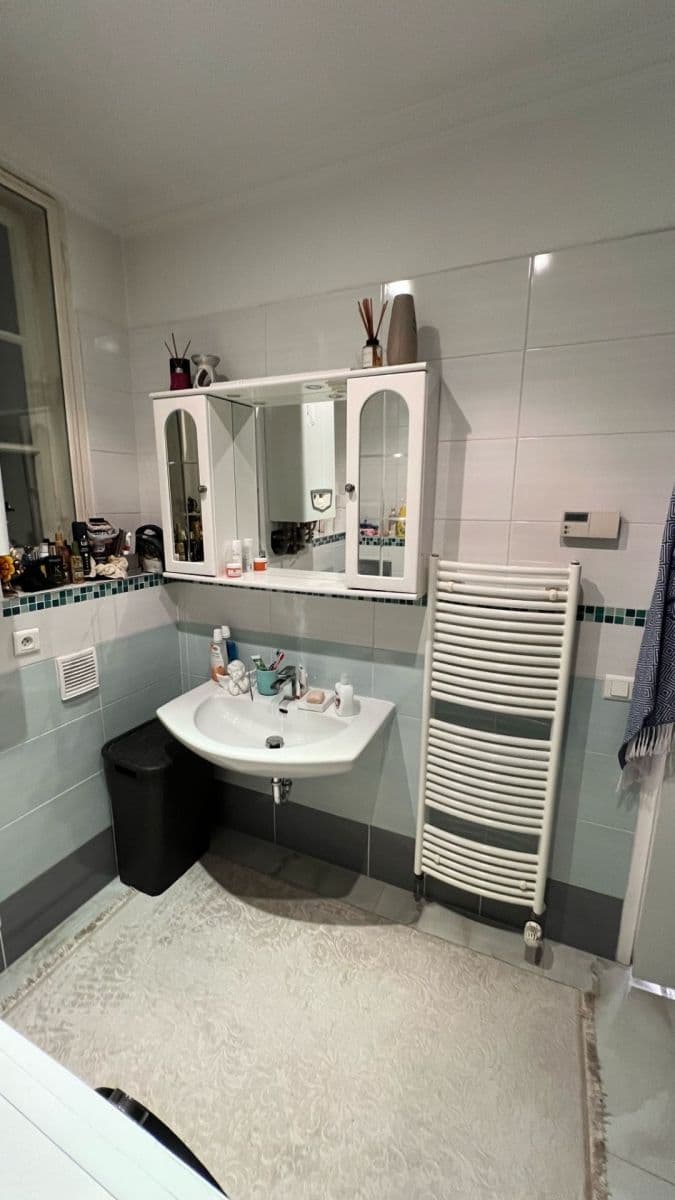 1 bedroom with open-plan kitchen flat to rent, 50 m², Rejskova, Prague, Prague 1 bedroom with open-plan kitchen flat to rent, 50 m², Rejskova, Prague, Prague