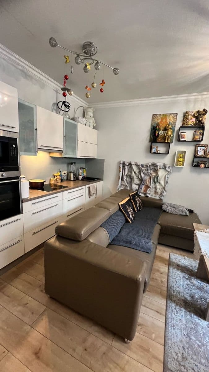 1 bedroom with open-plan kitchen flat to rent, 50 m², Rejskova, Prague, Prague 1 bedroom with open-plan kitchen flat to rent, 50 m², Rejskova, Prague, Prague