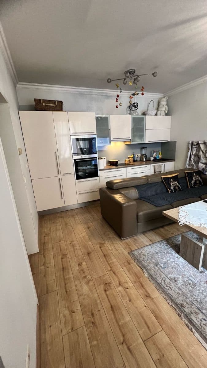 1 bedroom with open-plan kitchen flat to rent, 50 m², Rejskova, Prague, Prague 1 bedroom with open-plan kitchen flat to rent, 50 m², Rejskova, Prague, Prague