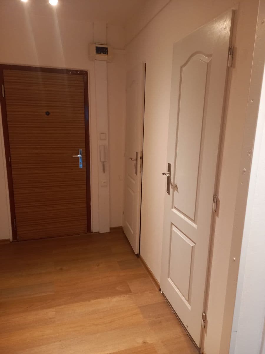 1 bedroom with open-plan kitchen flat to rent, 45 m², V Malém háji, Odolena Voda, Středočeský Region 1 bedroom with open-plan kitchen flat to rent, 45 m², V Malém háji, Odolena Voda, Středočeský Region