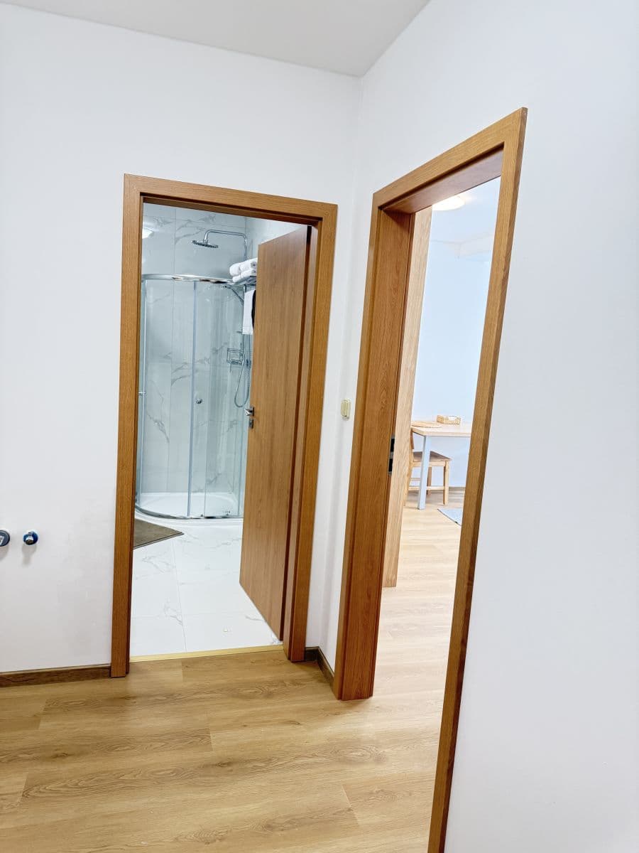 flat to rent, 24 m², Zbraslavská, Prague, Prague flat to rent, 24 m², Zbraslavská, Prague, Prague