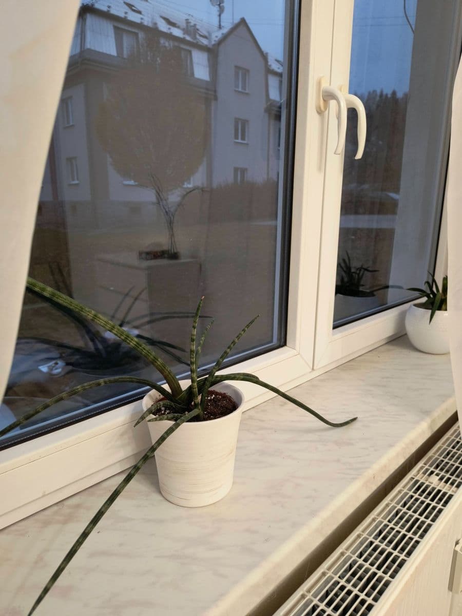 1 bedroom flat to rent, 37 m², sídliště 9. května, Nejdek, Karlovarský Region 1 bedroom flat to rent, 37 m², sídliště 9. května, Nejdek, Karlovarský Region