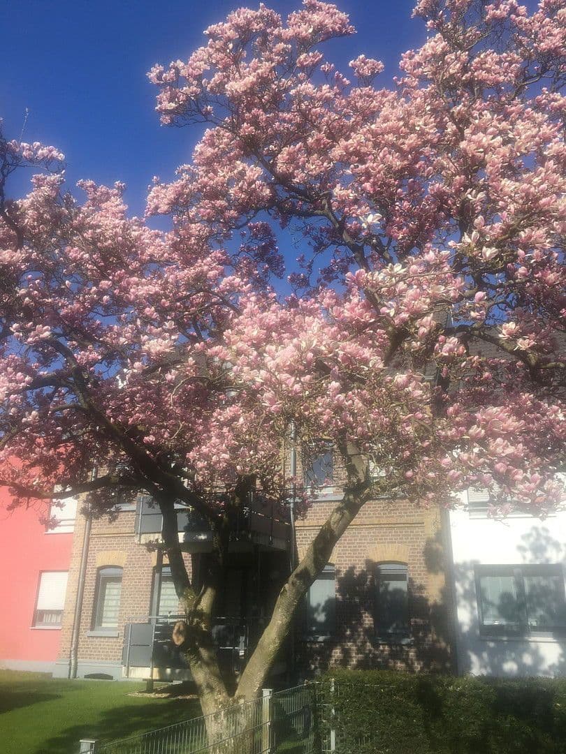 3 bedroom flat for sale, 85 m², Am Dreieck 17, Kaarst, North Rhine-Westphalia 3 bedroom flat for sale, 85 m², Am Dreieck 17, Kaarst, North Rhine-Westphalia