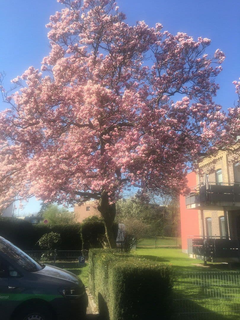 3 bedroom flat for sale, 85 m², Am Dreieck 17, Kaarst, North Rhine-Westphalia 3 bedroom flat for sale, 85 m², Am Dreieck 17, Kaarst, North Rhine-Westphalia