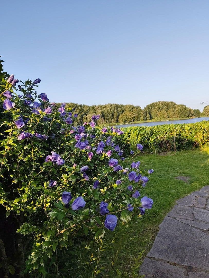 house for sale, 70 m², Neuhaus, Lower Saxony house for sale, 70 m², Neuhaus, Lower Saxony