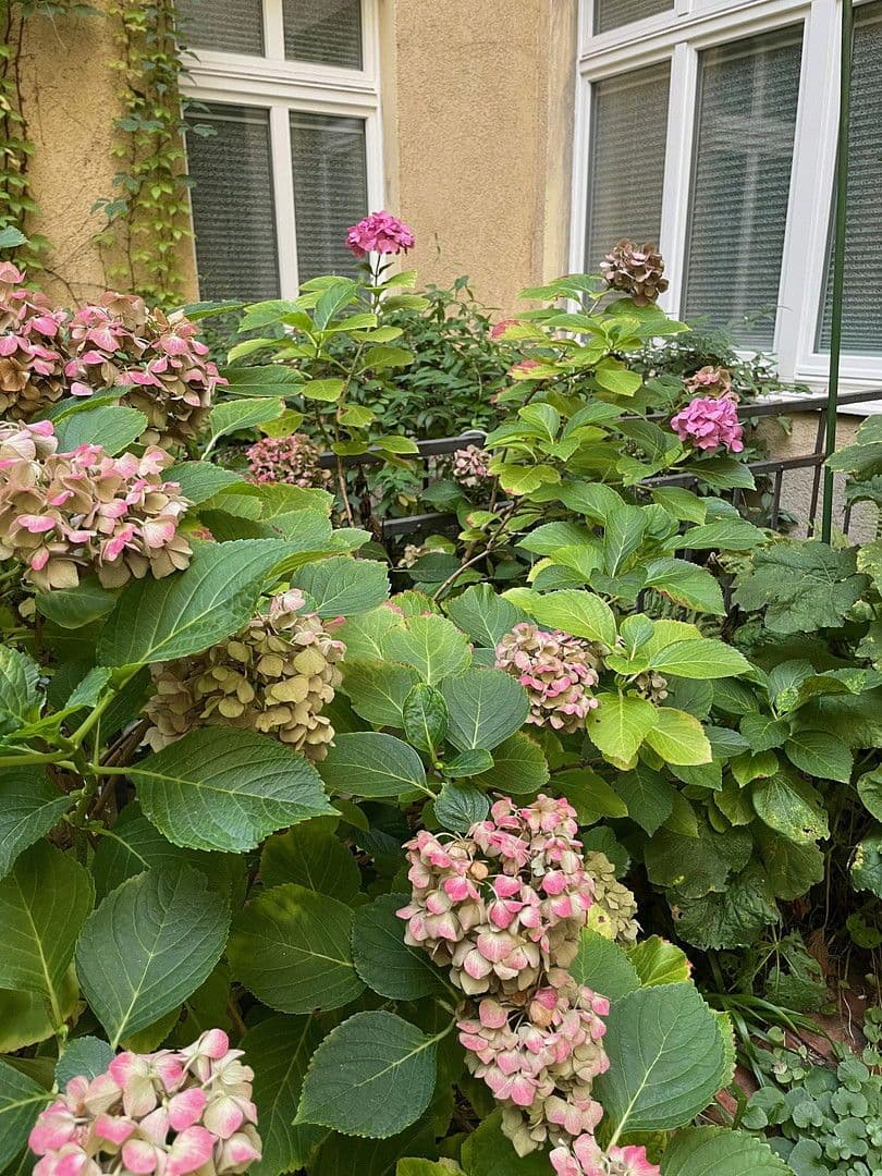 office to rent, 135 m², Niebuhrstr. 36, Berlin, Berlin office to rent, 135 m², Niebuhrstr. 36, Berlin, Berlin