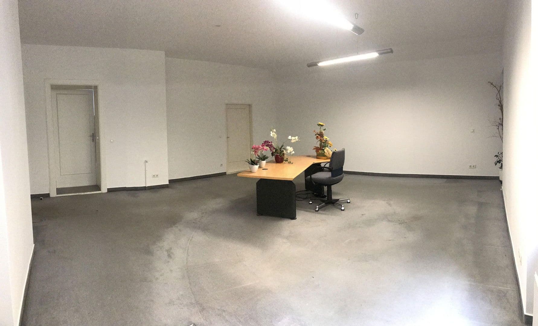 office to rent, 135 m², Niebuhrstr. 36, Berlin, Berlin office to rent, 135 m², Niebuhrstr. 36, Berlin, Berlin