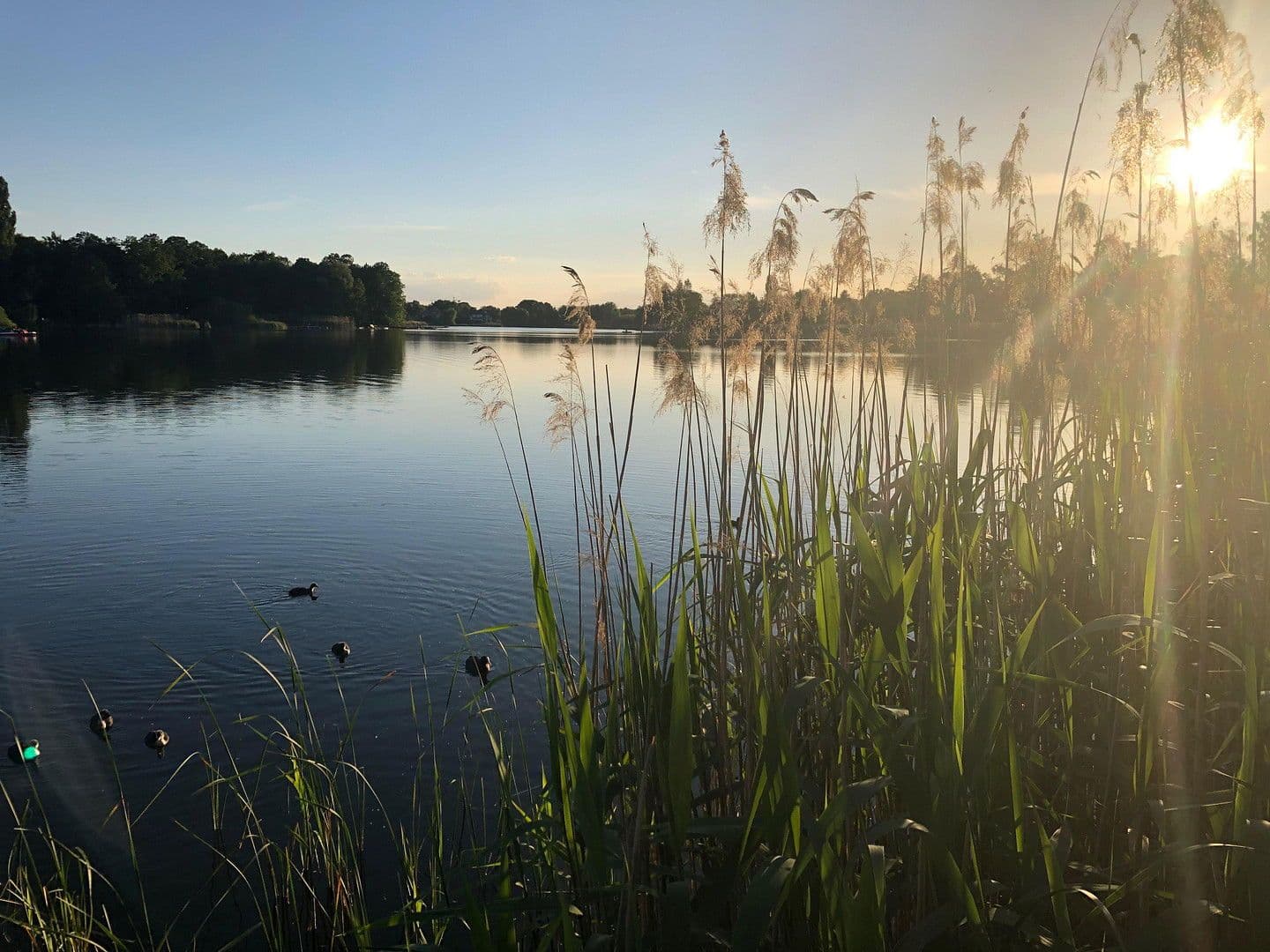 house for sale, 218 m², Falkensee, Brandenburg house for sale, 218 m², Falkensee, Brandenburg