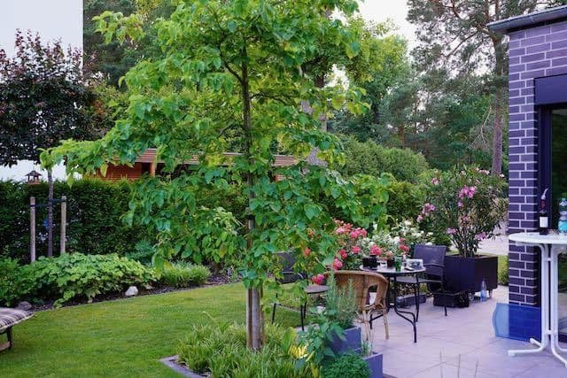 house for sale, 218 m², Falkensee, Brandenburg house for sale, 218 m², Falkensee, Brandenburg