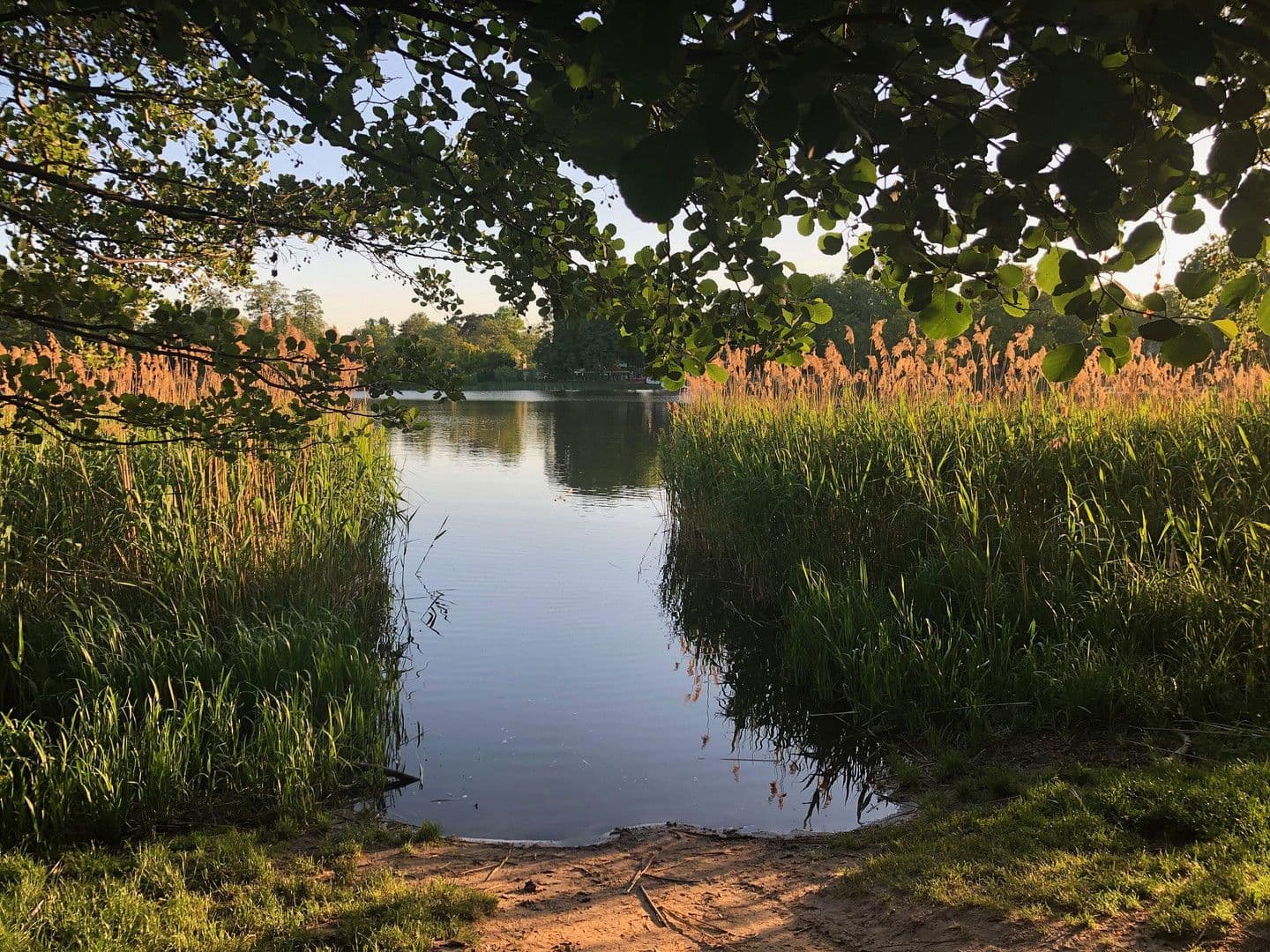 house for sale, 218 m², Falkensee, Brandenburg house for sale, 218 m², Falkensee, Brandenburg