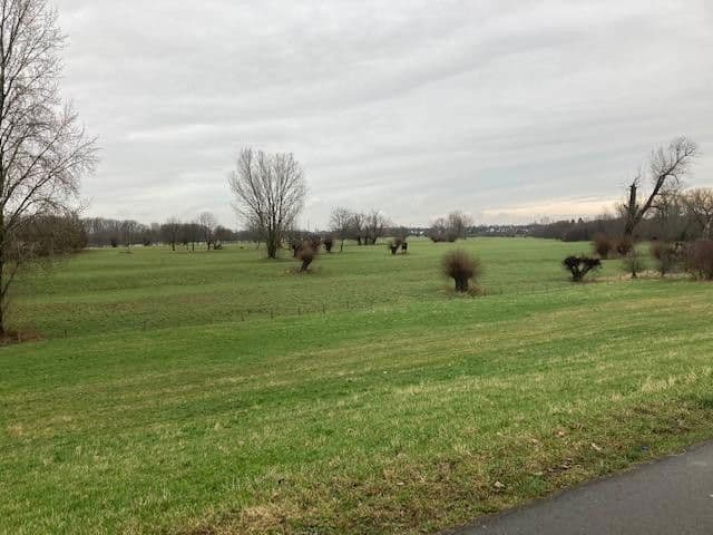 3 bedroom flat for sale, 82 m², Walburgisstr., Düsseldorf (Kaiserswerth), North Rhine-Westphalia 3 bedroom flat for sale, 82 m², Walburgisstr., Düsseldorf (Kaiserswerth), North Rhine-Westphalia