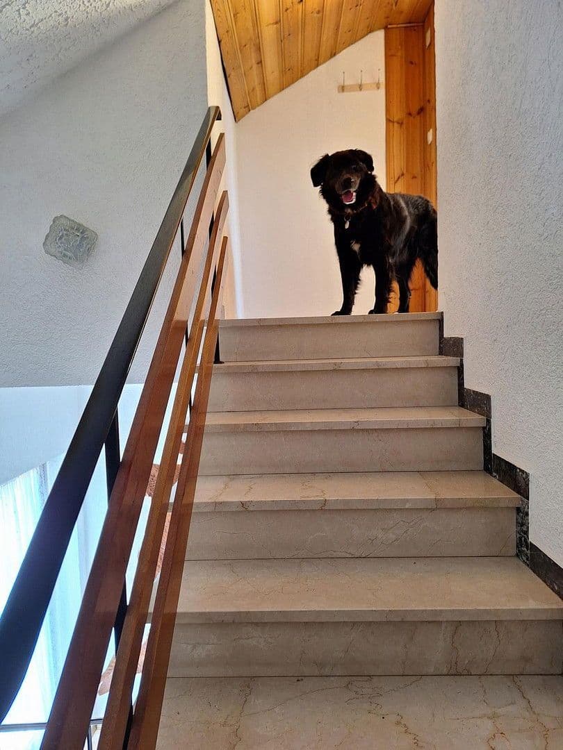 house for sale, 383 m², Schwaigener Str. 28, Mamming, Bavaria house for sale, 383 m², Schwaigener Str. 28, Mamming, Bavaria